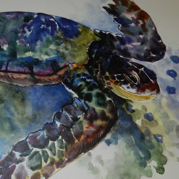 American Flat Sea Turtle Canvas Painting in Wood Frame Local Artist NEW/NWT! - Picture 4 of 10